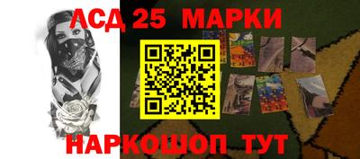 стаф Гатчина