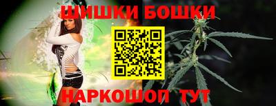 стаф Гатчина