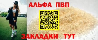 стаф Гатчина