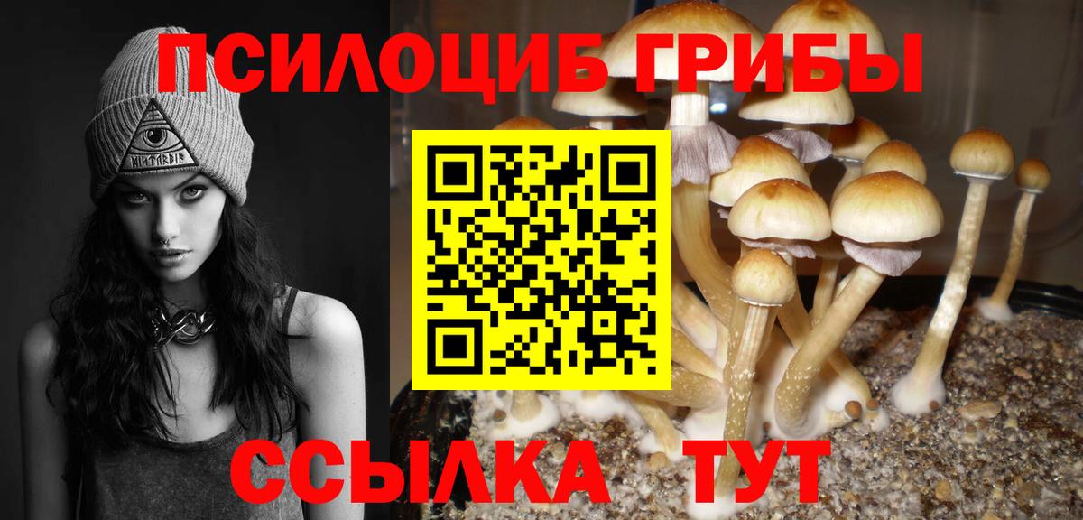 Псилоцибиновые грибы Psilocybe  Вход с VPN  Галлюциногенные грибы MAGIC MUSHROOMS  Батайск 